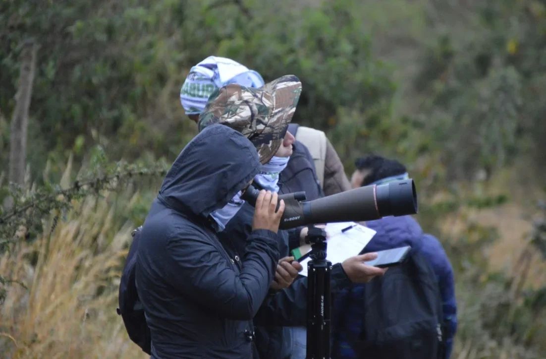 Monitoreo de Fauna Silvestre