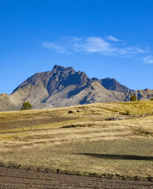 home1-image2-copyright